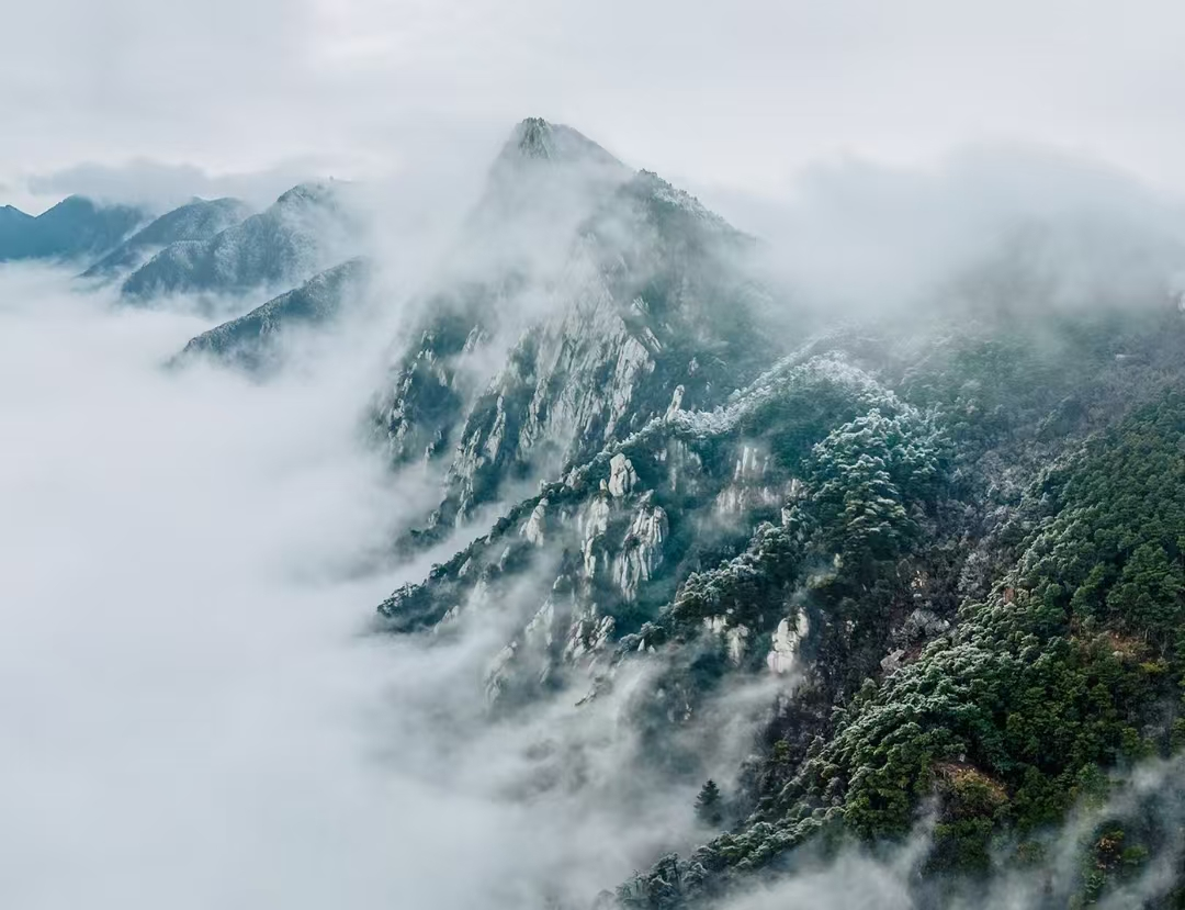 会会与庐山市政府领导共商“线上城市”