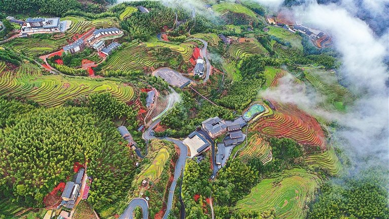 会会到访崇义，共商线上城市
