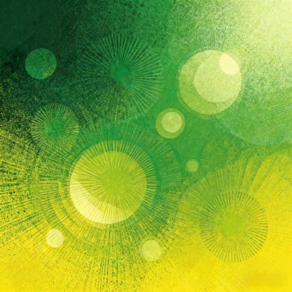 揭秘“妈妈的味道”的奥秘！Cell Discov｜复旦大学许智祥：揭示前额叶‐下丘脑环路通过AMPK