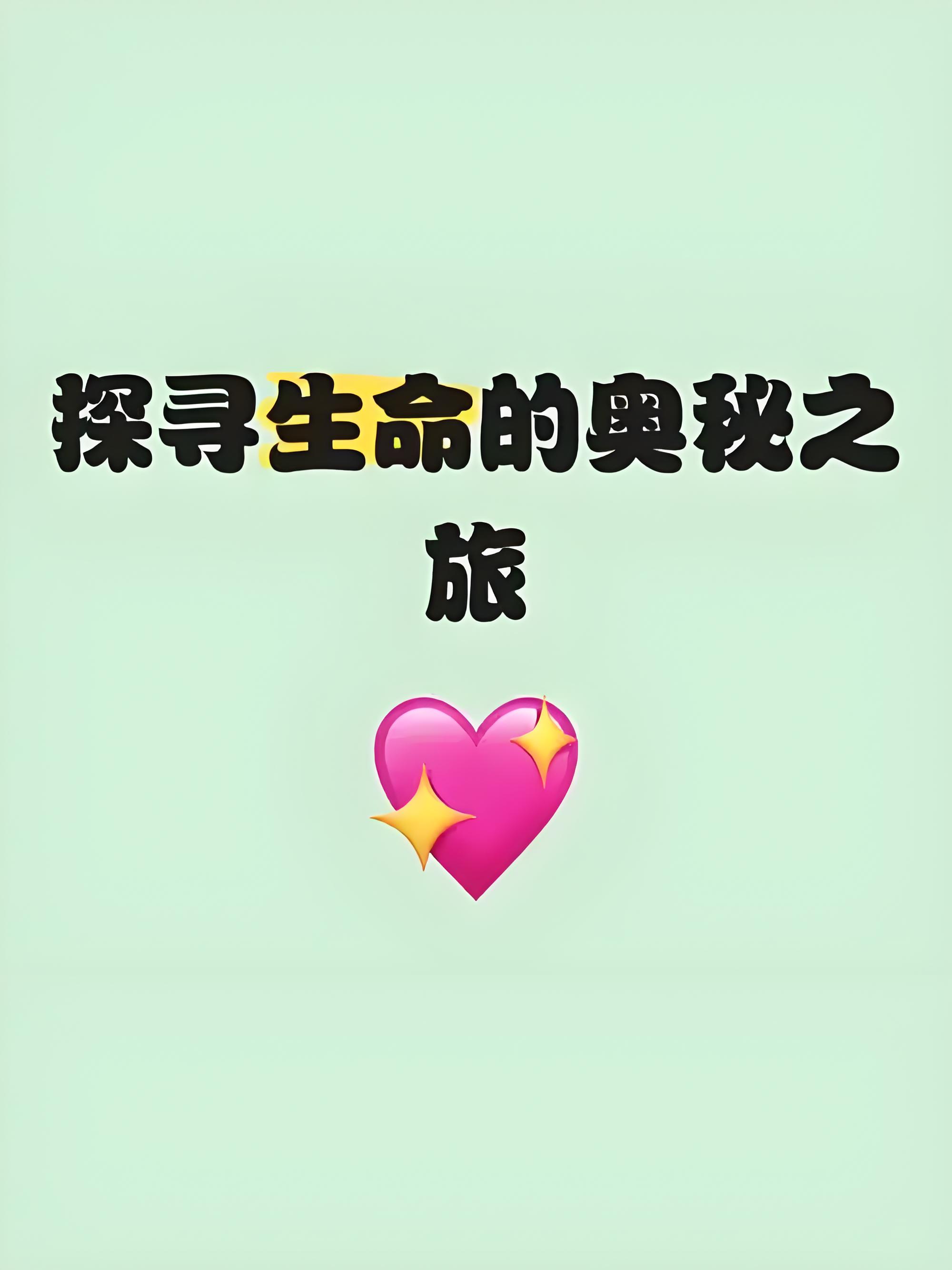 遇见最美的自己