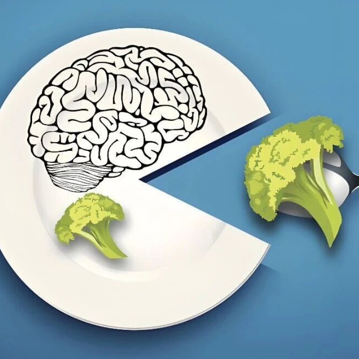 膳食摄入与抑郁症发生关联图谱！BMC Med｜复旦大学贾英男/钱海红：揭示精准膳食干预有助于预防和改