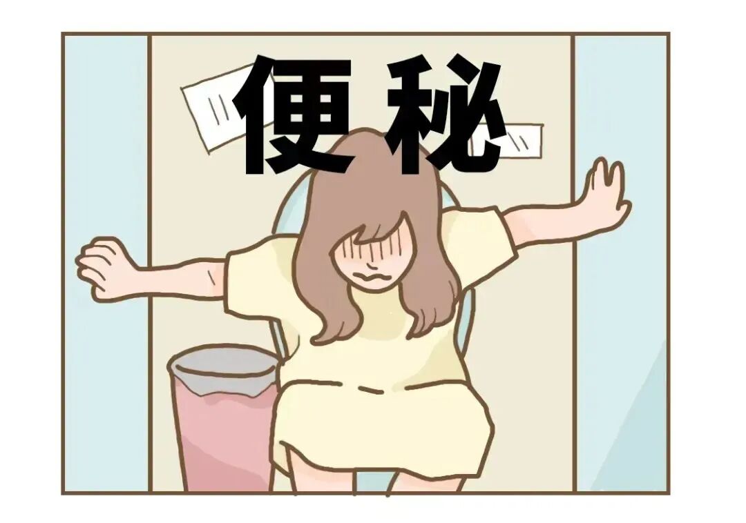 世界厕所日 | 蹲马桶也有仪式感，别让肠胃再加班了