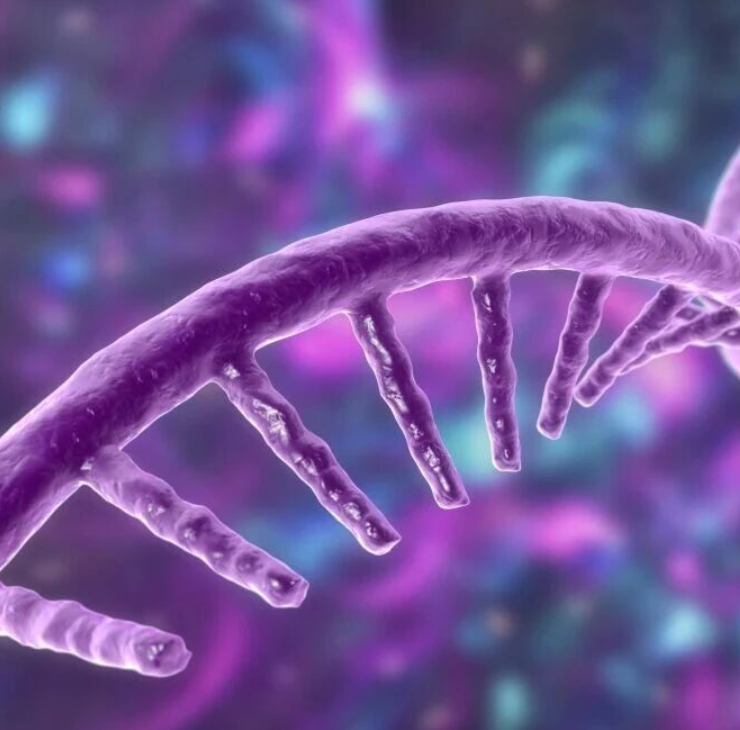 下一代mRNA癌症疫苗全新递送平台！Adv Sci｜复旦大学邱敏：开发单组分脾靶向LNP-mRNA递