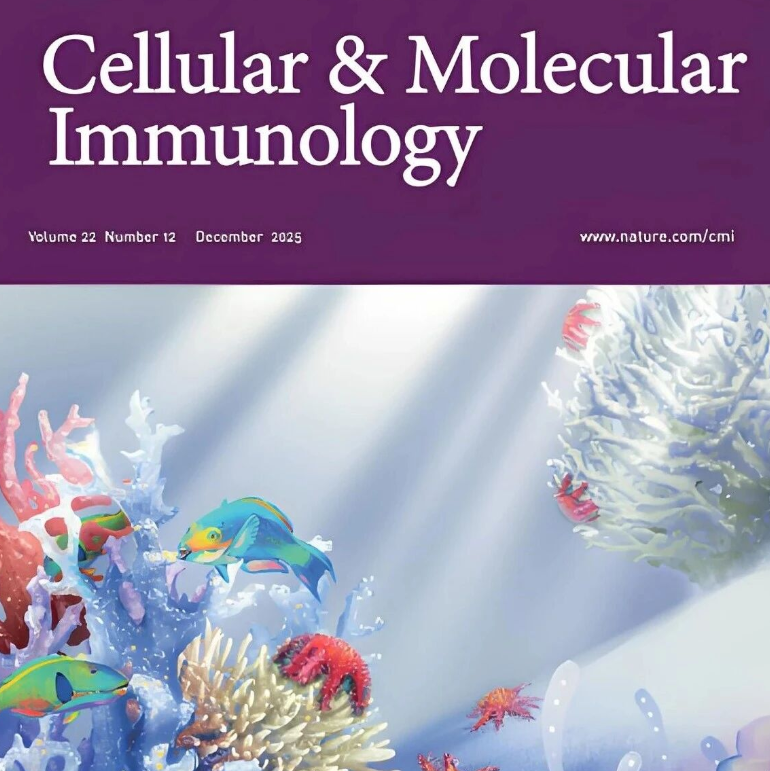 封面文章-突破肝癌放疗瓶颈！CMI｜复旦大学杜世锁/柯爱武/高超：“精准调谐”放疗与免疫治疗联合方案