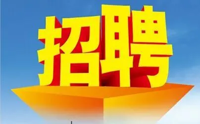 招聘HR合伙人10名