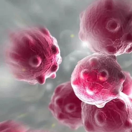 促癌机理全新视角！NAR｜复旦大学王纲：揭示转录中介体亚基MED19通过调控rRNA 2’-O-甲基