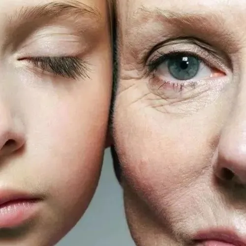 女性衰老轨迹的重要生物学变量！Cell系列｜复旦大学木良善/李阳：合作解析女性生殖特征如何决定衰老速