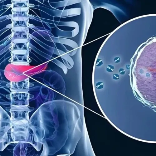 “癌王”精准治疗新希望！Gut｜复旦大学刘静：合作揭示CLDN18.2靶向治疗耐药机制并提出逆转策略