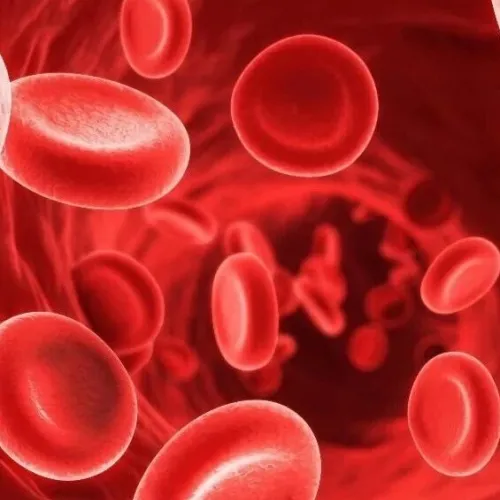 β型地贫治疗迎来新候选药物！Adv Sci｜复旦大学蓝贤江：报道一种具有治疗β型地贫潜能的新型DNM