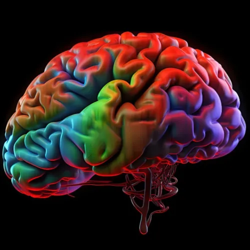 突破磁共振成像空间分辨率限制！Nature系列｜复旦大学蒋雨薇：7T高场磁共振揭示人脑层级听觉序列的