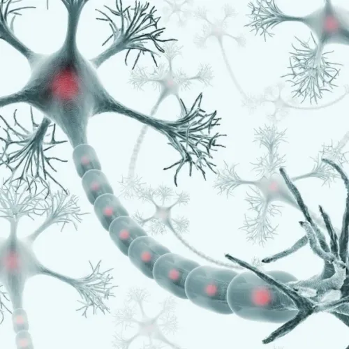 实现精密微米级神经修复！PNAS｜复旦大学宋恩名：合作开发无线自卷曲生物可吸收神经接口，精密神经修复