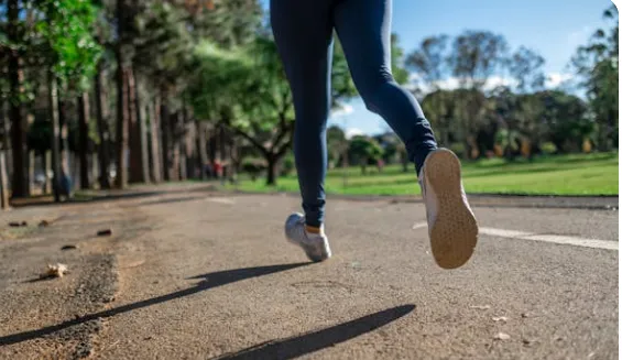 守护健康基石 | ：构筑“金字塔”健康法则