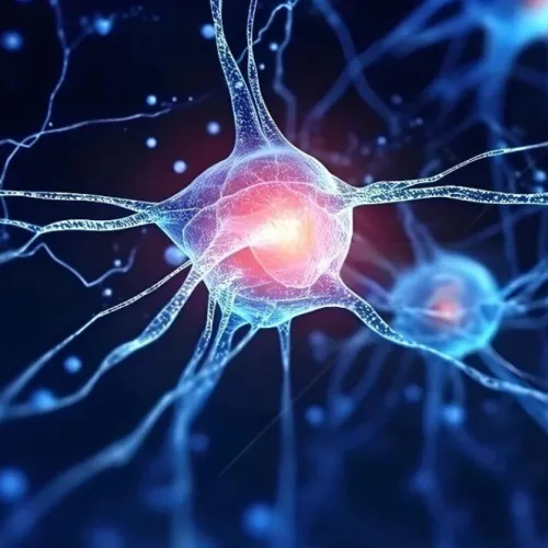 糖尿病并发症干预潜在靶点！PNAS｜复旦大学余巍：揭示SIRT3-SARM1信号轴通过轴突变性调控糖