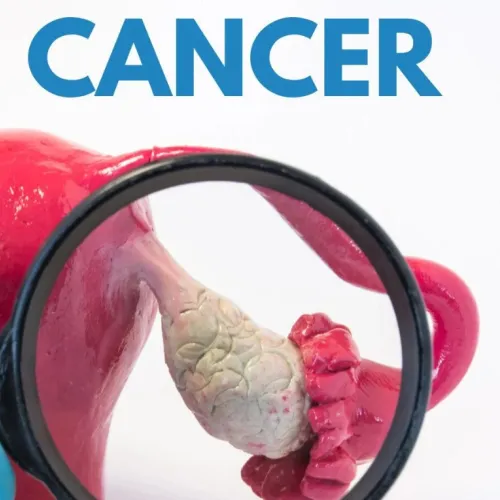 卵巢癌精准治疗新策略！Adv Sci｜复旦大学周祥：合作开发特异性双靶点工程化外泌体抑制卵巢癌进展