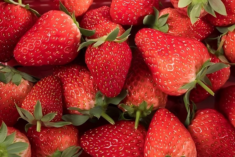 会会团队到访白鹤镇，共商农产品品牌私域运营