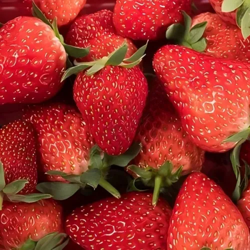 会会团队到访白鹤镇，共商农产品品牌私域运营