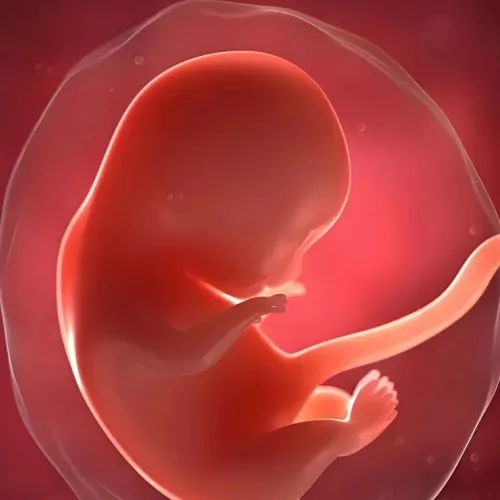 “夫妇共补”避免流产！MedComm｜复旦大学黄国英/严卫丽：发现孕前双亲一碳代谢失衡增加自然流产风