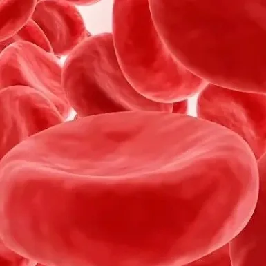 中国原创基因编辑突破性成果获国际认可！Nature（IF:48)｜复旦大学杨力：合作发表全球首个临床