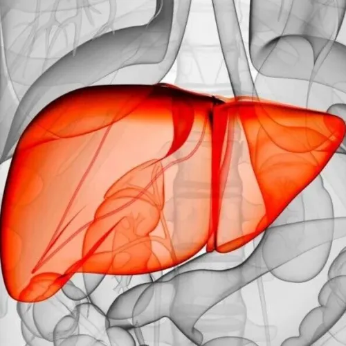 全新机制与治疗策略！J Hepatol（IF:33)｜复旦大学畅磊/邵春林：合作揭示中央静脉周围干细