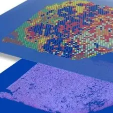 空间转录组研究新进展！Nature系列｜复旦大学原致远/钱斌治：提出空间转录组数据对齐方法的选择与优