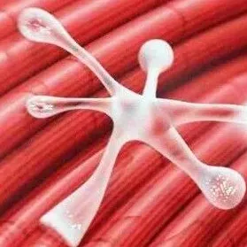 获国际期刊重点推荐！Nature系列｜复旦大学王宇翔/刘秀萍：解析GMPPB相关罕见神经肌肉疾病致病