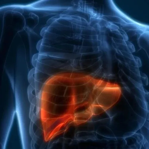 揭示肝癌靶向耐药-关键因子！STTT（IF:52)｜复旦大学樊嘉院士/柯爱武/高超：揭示NGF信号通