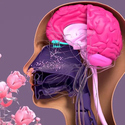 人类感官系统多样化演化！Cell系列｜复旦大学徐书华/邓恋：解析马来土著人群嗅觉受体的基因-文化协同