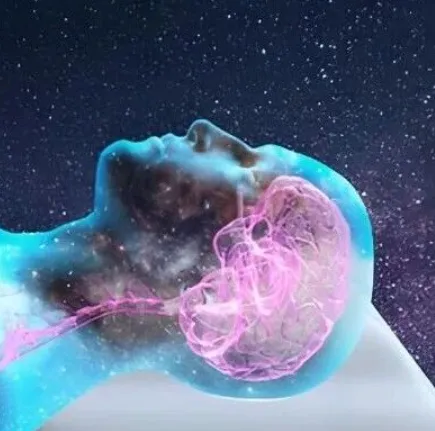 睡眠-觉醒调控新进展！Neuron｜复旦大学丁凤菲：合作揭示睡眠-觉醒状态转换中皮层星形胶质细胞体积