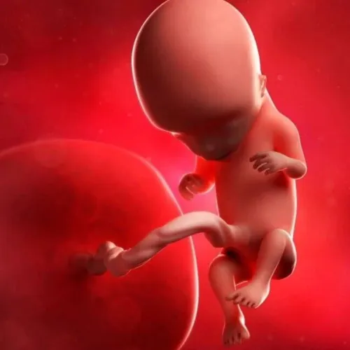 胎盘早衰诱发流产！Autophagy｜复旦大学朱晓勇：合作揭示IL33缺失通过乳酸-SNAP29乳酰
