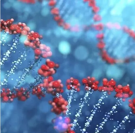 破解表观遗传核心谜题！Mol Cell｜复旦大学于淼：合作破解了CTCF结合位点表观遗传环境的调控密