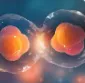 核酸药物“抗衰老”新路径！Protein Cell｜复旦大学余巍/林金钟：开发mRNA-LNP递送策