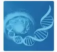 一次注射，精准改写DNA！Nature系列（IF:44)｜复旦大学杨力/洪佳旭：合作开发病毒样颗粒递