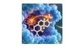 “复杂天然产物”的重要合成！JACS｜复旦大学李付琸/陈道峰：酶催化惰性甲基精准氧化助力复杂天然产物