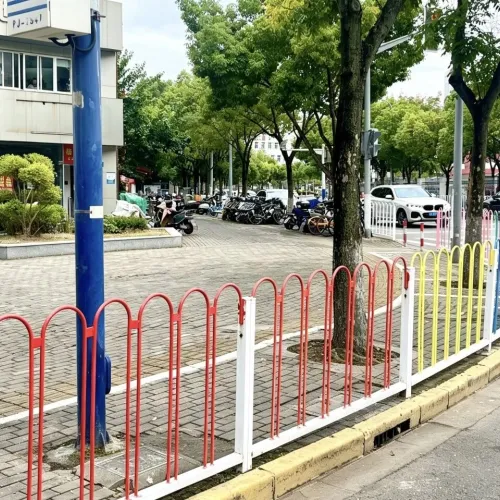 她把书脊摆成一条线丨我的老师
