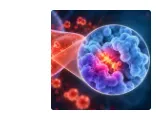 “健康肥胖”演进糖尿病的早期预警信号！Redox Biol｜复旦大学施冬云/刘珊林：发现PCK1可逆